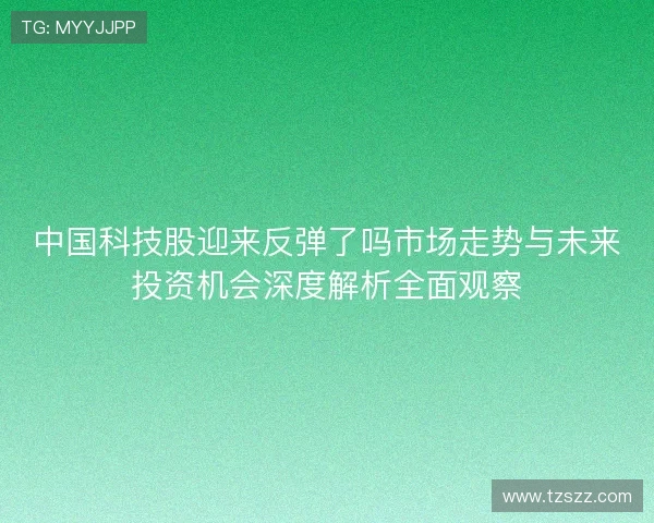 中国科技股迎来反弹了吗市场走势与未来投资机会深度解析全面观察