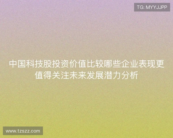 中国科技股投资价值比较哪些企业表现更值得关注未来发展潜力分析